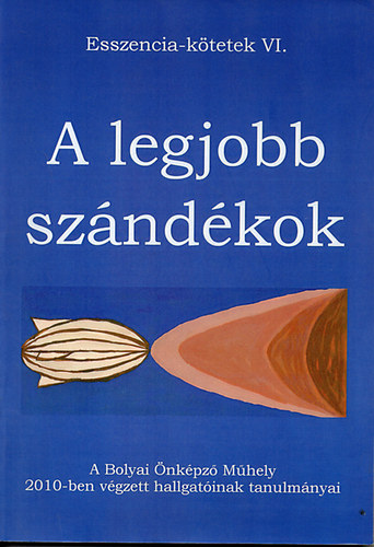 A legjobb szndkok - A bolyai nkpz Mhely 2010-ben vgzett hallgatinak tanulmnyai