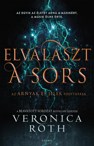 Veronica Roth - Elválaszt a sors