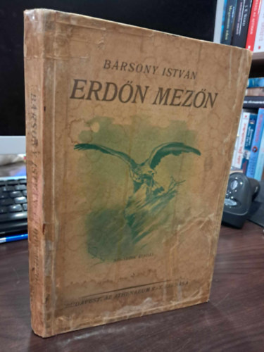 B�rsony Istv�n - Erd�n, mez�n