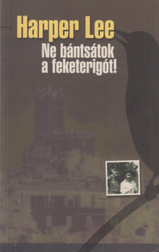 Harper Lee - Ne bntstok a feketerigt!