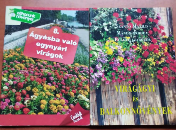 Dr. Szántó Matild, Mándy Andrea - 2db kerti növényes könyv: Ágyasba való évelő növények+Virágágyi és balkonnövények