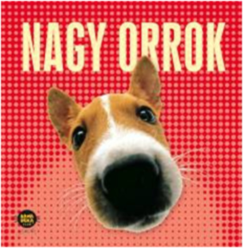 Nagy orrok