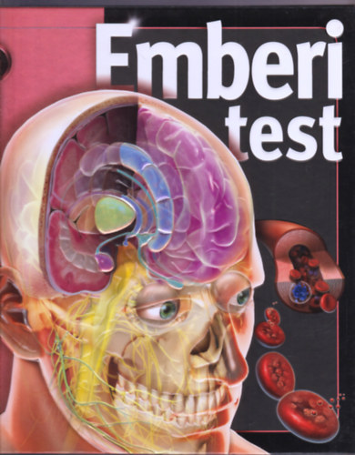 Linda Calabresi - Emberi test (Bennfentes)