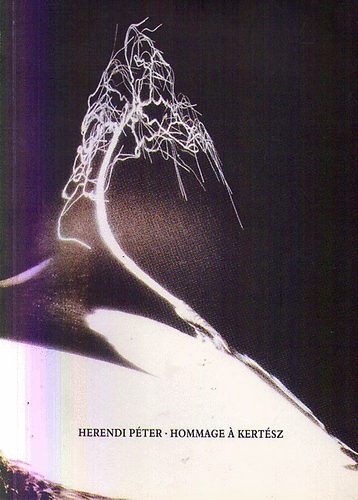 Herendi P�ter - Hommage a Kert�sz