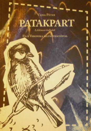 Vajda Pter - Patakpart