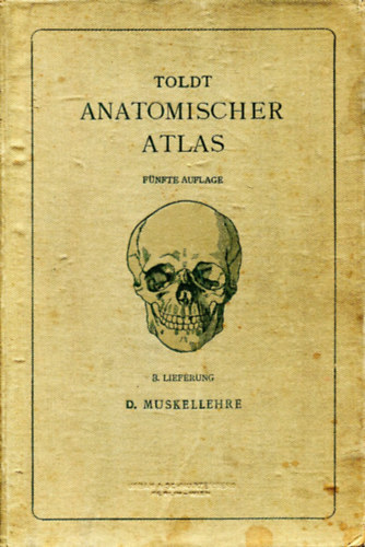 Dr. Carl Toldt - Anatomischer Atlas für Studierende und Ärzte III.