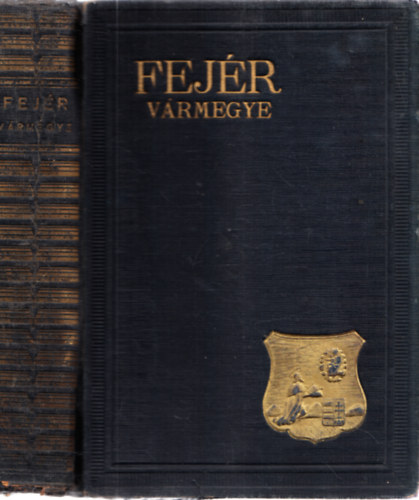 DR JUHÁSZ VIKTOR Schneider Miklós - Fejér-vármegye: magyar városok és vármegyék monográfiája, XXII.
