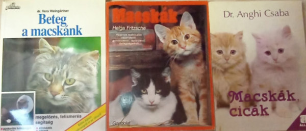 Dr. Anghi Csaba, dr. Vera Weingartner Helga Fritzsche - 3 kötet macskatartás témakörben: Macskák - Macskák, cicák - Beteg a macskánk