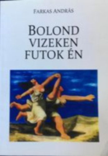 Farkas Andrs - Bolond vizeken futok n