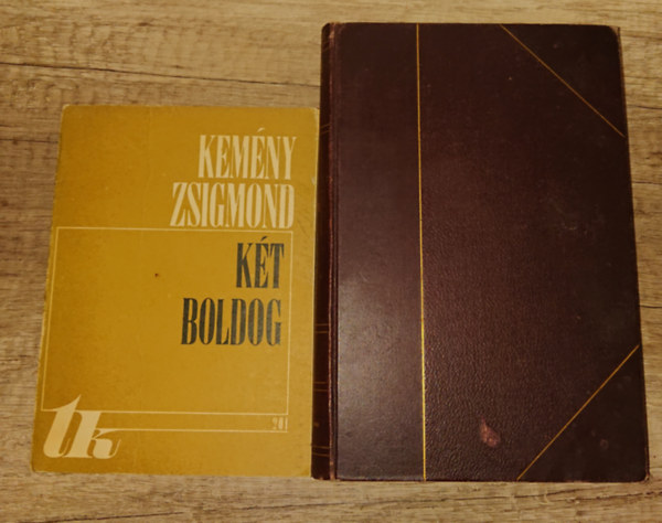 Kemény Zsigmond - 2 kötet Kemény Zsigmondtól? Kélt boldog, Gyulai Pál I.