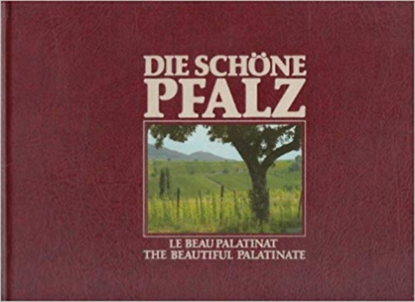 Die schne Pfalz