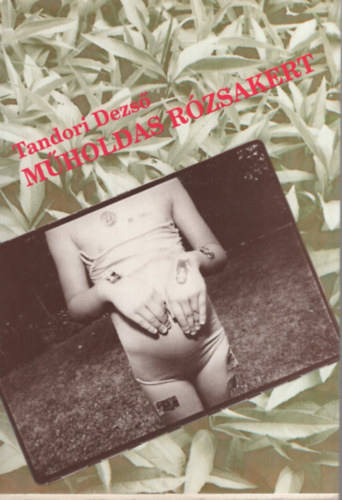 Tandori Dezs� - M�holdas r�zsakert
