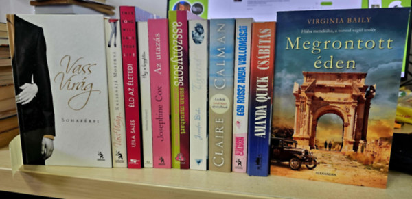 Leila Sales, Melissa Moretti, Josephine Cox, Susan Maushart, Jennifer Blake, Claire Calman, Stephanie Calman, Amanda Quick, Virginia Baily Vass Vir�g - 11db romantika, K�NYVMENT� AJ�NLAT: Sohaf�rfi+ Kr�szn�j� Moszkva+ �ld az �leted!+ H�z a hegytet�n+ Az utaz�s+ Asszonysors+ Tigrisn�+ Leck�k vas�rnapi apuk�knak+ Egy rossz anya vallom�sai+ Cs�b�t�s+ Megrontott �den