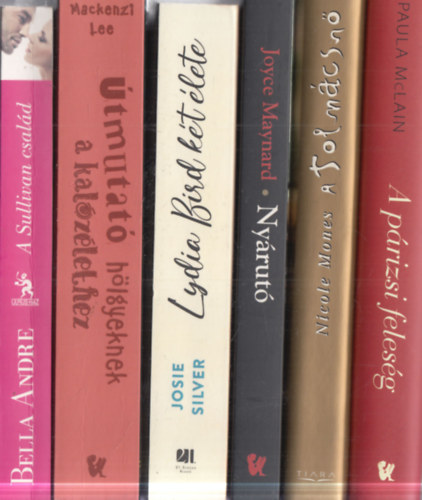 Bella Andre, Mackenzi Lee, Josie Silver, Joyce Maynard, Nicole Mones, Paula McLain - 6 db romantikus regény: A Sullivan család + Útmutató hölgyeknek a kalózéletben + Lydia Bird két élete + Nyárutó + A tolmácsnő + A párizsi feleség