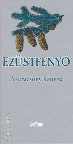 Hunyadi Csaba Zsolt  (szerk.) - Ezstfeny - A karcsony knyve