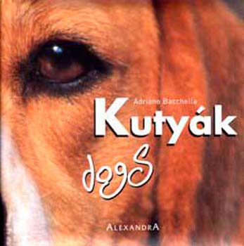 Adriano Bacchella - Kutyk - dogs