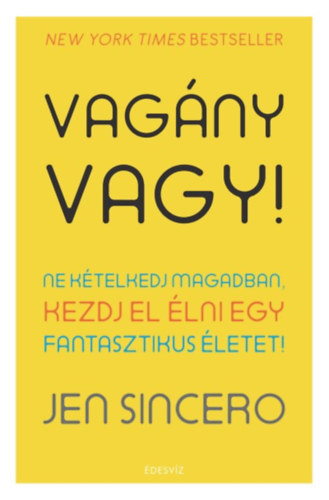 Jen Sincero - Vagny vagy!