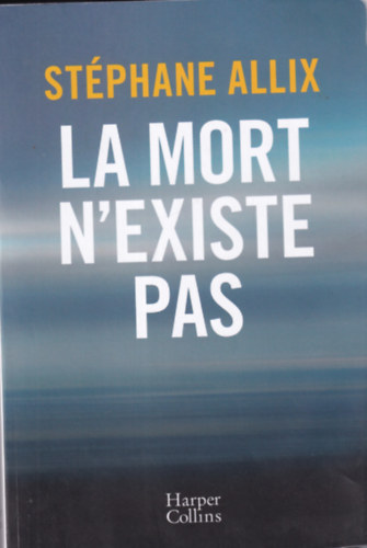 Stéphane Allix - La mort n'existe pas