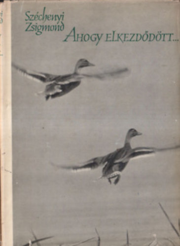 Gróf Széchenyi Zsigmond - Ahogy elkezdődött...
