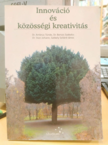 Dr. Dr. Borsos Szabolcs, Dr. Stan Johann, Székely Szilárd-János Ambrus Tünde - Innováció és közösségi kreativitás (Editura Studium)