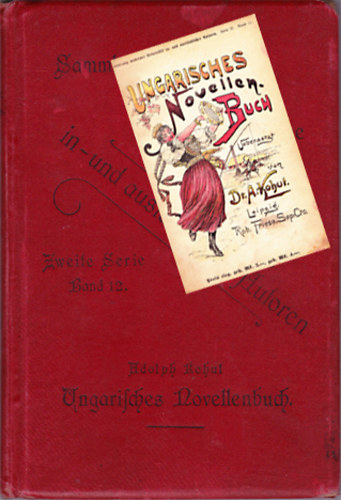 Ungarisches Novellenbuch