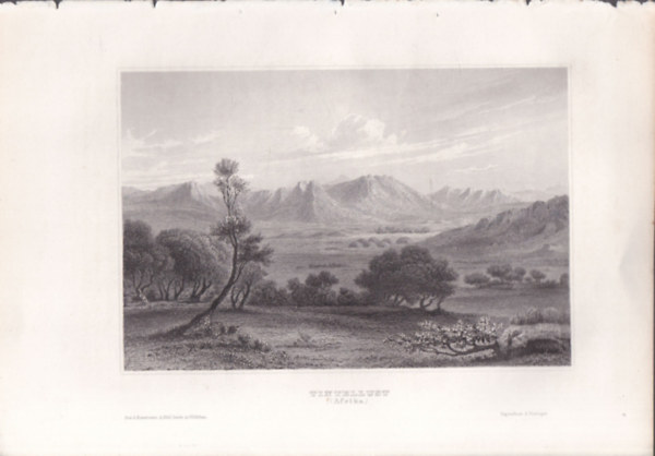 Tintellust (Niger, Afrika) (16x23,5 cm m�ret� eredeti ac�lmetszet, 1856-b�l)