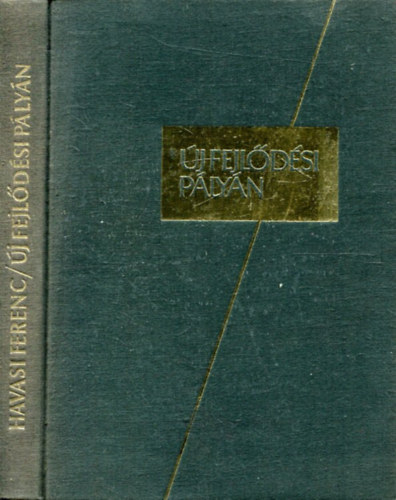 Havasi Ferenc - �j fejl�d�si p�ly�n