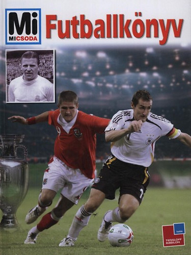 Christoph Bausenwein - Futballk�nyv (Mi Micsoda - Uli Knauer illusztr�ci�ival)