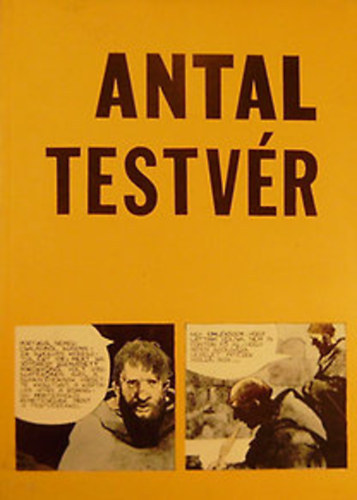 Antal testv�r (k�preg�ny)