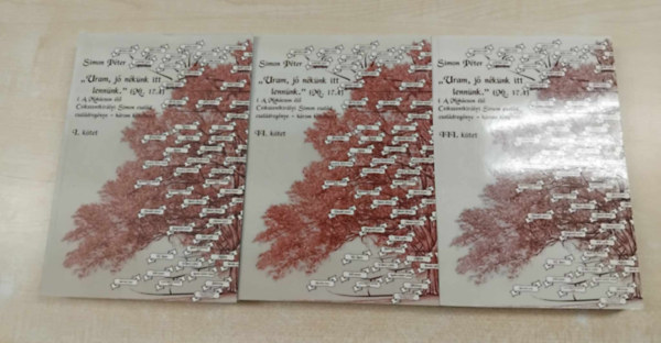 Simon Péter - "Uram, jó nékünk itt lennünk." A Mohácson élő Csíkszentkirályi Simon család családregénye I-III.