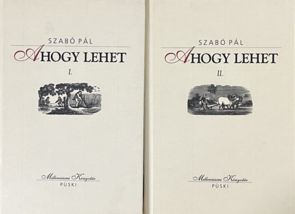 Szab� P�l - Ahogy lehet I-II.