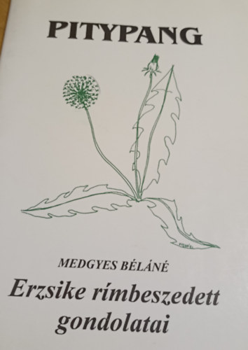 Medgyes Bln - Erzsike rmbeszedett gondolatai