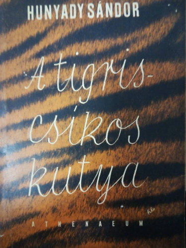 Hunyady Sándor - A tigriscsíkos kutya
