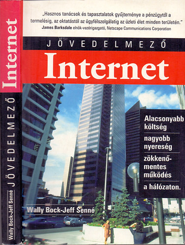 Wally Bock-Jeff Senn - Jvedelmez Internet