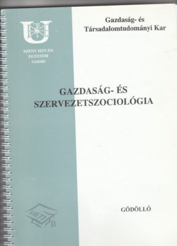 Madarsz Imre - Gazdasg- s szervezetszociolgia