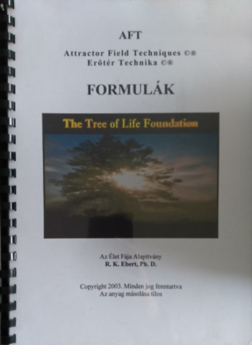 AFT Attractor Field Techniques- Er�t�r Technika - Formul�k