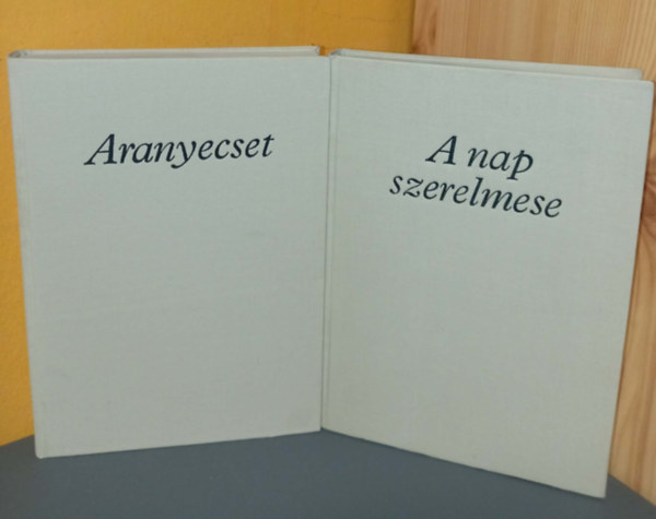 Dallos Sándor - Aranyecset / A nap szerelmese (Munkácsy Mihály életregénye)