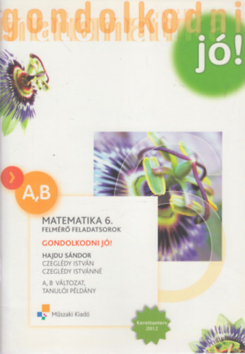 Dr. Czeglédy István, Dr. Hajdu Sándor Czeglédy Istvánné - Matematika 6. -Felmérő feladatsorok - A, B változat, tanulói példány