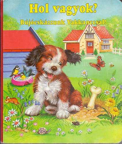 Wolfgang Schleicher-Ray Cresswell-Rig� B�la - Hol vagyok? B�j�csk�zzunk Vakkanccsal!