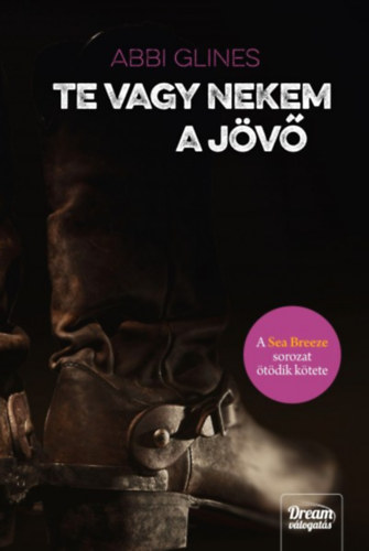 Abbi Glines - Te vagy nekem a jv