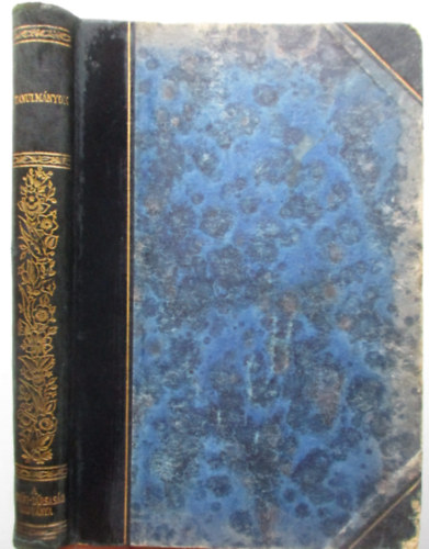 Petfi-trsasg - Tanulmnyok