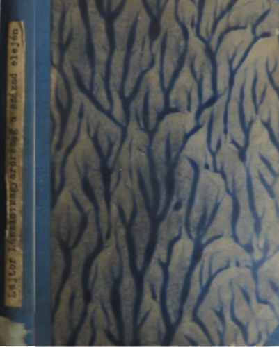 Lajtor László - Magyarország a század elején