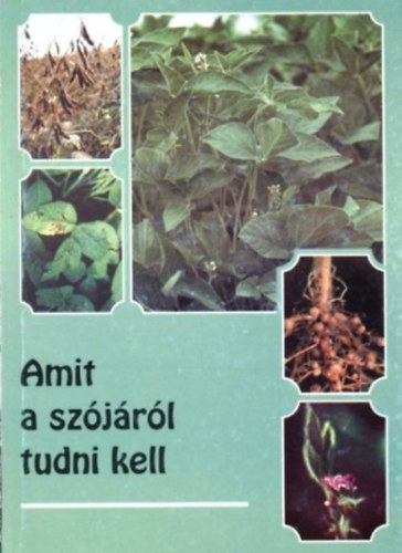 Dr. Balikó Sándor - Amit a szójáról tudni kell