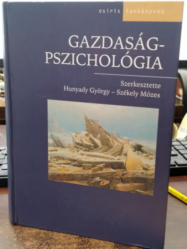Hunyady Gyrgy  (Szerk.); Szkely Mzes (Szerk.) - Gazdasgpszicholgia