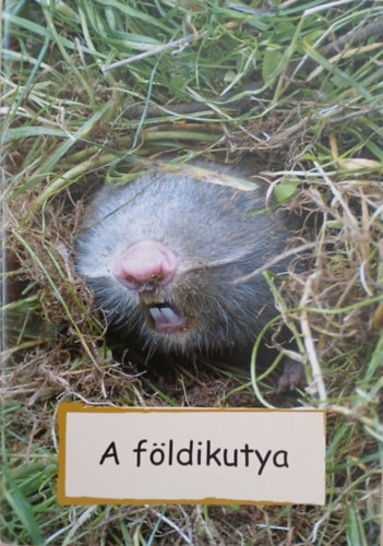 Dr. Vadnay Réka Horváth Róbert - A földikutya