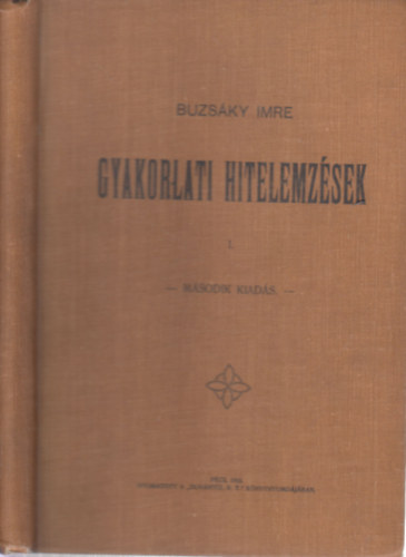 Buzsky Imre - Gyakorlati hitelemzsek I.