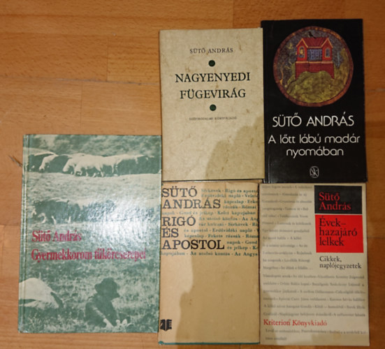 6 k�nyv S�t� Andr�st�l: Gyerekkkorom t�k�rcserepei, Rig� �s apostol, �vek - hazaj�r� lelkek, Nagyennyedi f�gevir�g, A l�tt l�b� mad�r nyom�ban