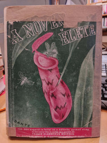 Raoul H. Francé - A növények élete