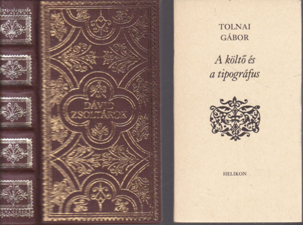 Szenczi Molnr Albert  (ford.) - Dvid Zsoltrok (Szent Dvid kirlynak s prftnak szztven Soltri - Hasonms)