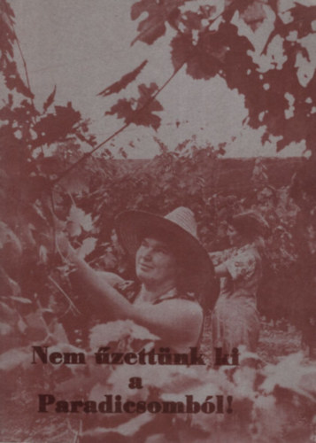 Hajdu Imre - Nem űzettünk ki a paradicsomból.